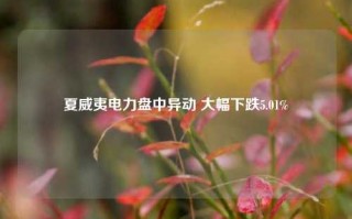 夏威夷电力盘中异动 大幅下跌5.01%