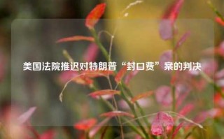 美国法院推迟对特朗普“封口费”案的判决