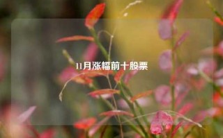 11月涨幅前十股票