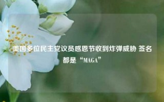 美国多位民主党议员感恩节收到炸弹威胁 签名都是“MAGA”