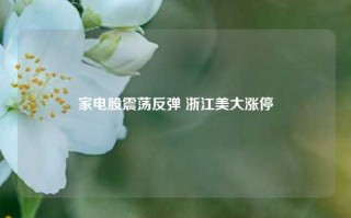 家电股震荡反弹 浙江美大涨停