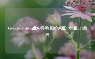 Comstock Holding盘中异动 股价大涨5.38%报9.17美元