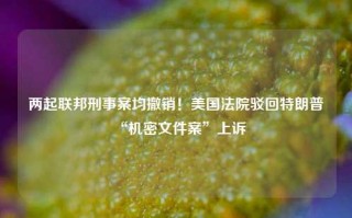 两起联邦刑事案均撤销！美国法院驳回特朗普“机密文件案”上诉