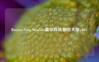 Bioceres Crop Solutions盘中异动 股价大涨5.06%