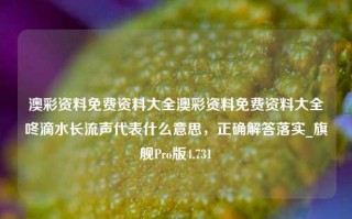 澳彩资料免费资料大全澳彩资料免费资料大全咚滴水长流声代表什么意思，正确解答落实_旗舰Pro版4.731