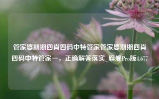 管家婆期期四肖四码中特管家管家婆期期四肖四码中特管家一，正确解答落实_旗舰Pro版4.677