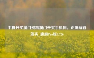 手机开奖澳门资料澳门开奖手机网，正确解答落实_旗舰Pro版4.726