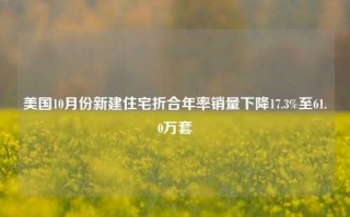 美国10月份新建住宅折合年率销量下降17.3%至61.0万套