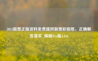 2024新奥正版资料免费提拱新奥彩报纸，正确解答落实_旗舰Pro版4.641