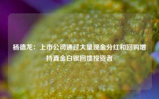 杨德龙：上市公司通过大量现金分红和回购增持真金白银回馈投资者