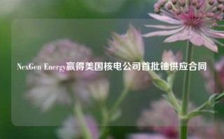 NexGen Energy赢得美国核电公司首批铀供应合同