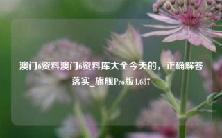 澳门6资料澳门6资料库大全今天的，正确解答落实_旗舰Pro版4.687