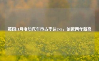 英国11月电动汽车市占率达25%，创近两年新高