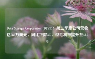 Data Storage Corporation (DTST)：第三季度公司营收达580万美元，同比下降3%，但毛利率提升至43.2%