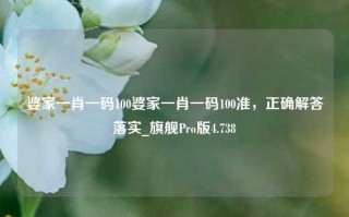 婆家一肖一码100婆家一肖一码100准，正确解答落实_旗舰Pro版4.738