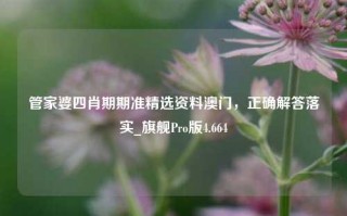 管家婆四肖期期准精选资料澳门，正确解答落实_旗舰Pro版4.664