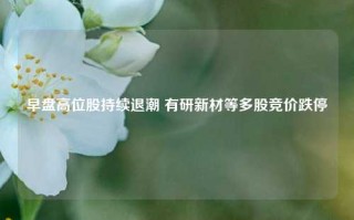 早盘高位股持续退潮 有研新材等多股竞价跌停