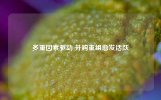 多重因素驱动 并购重组愈发活跃