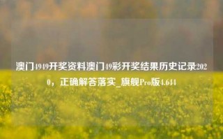 澳门4949开奖资料澳门49彩开奖结果历史记录2020，正确解答落实_旗舰Pro版4.644