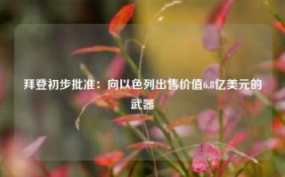 拜登初步批准：向以色列出售价值6.8亿美元的武器