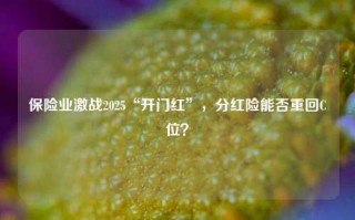 保险业激战2025“开门红”，分红险能否重回C位？