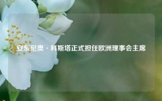 安东尼奥·科斯塔正式担任欧洲理事会主席