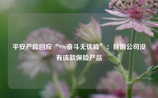 平安产险回应“996奋斗无忧险”：目前公司没有该款保险产品