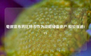 毫微宣布将比特币作为战略储备资产 股价涨逾14%