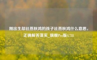 刚出生却社燕秋鸿的孩子社燕秋鸿什么意思，正确解答落实_旗舰Pro版4.731