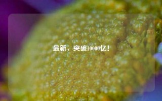 最新，突破10000亿！