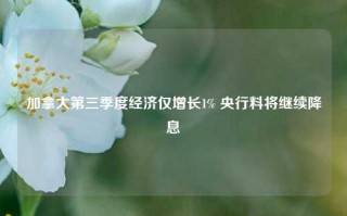 加拿大第三季度经济仅增长1% 央行料将继续降息