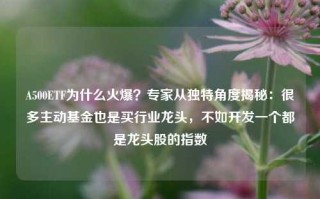 A500ETF为什么火爆？专家从独特角度揭秘：很多主动基金也是买行业龙头，不如开发一个都是龙头股的指数