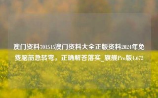 澳门资料701515澳门资料大全正版资料2024年免费脑筋急转弯，正确解答落实_旗舰Pro版4.672