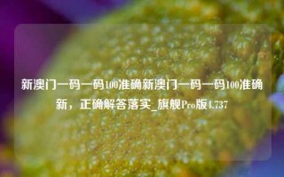 新澳门一码一码100准确新澳门一码一码100准确新，正确解答落实_旗舰Pro版4.737