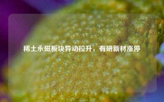 稀土永磁板块异动拉升，有研新材涨停