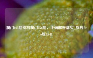 澳门065期资料澳门156期，正确解答落实_旗舰Pro版4.648