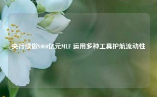 央行续做9000亿元MLF 运用多种工具护航流动性