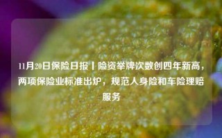 11月20日保险日报丨险资举牌次数创四年新高，两项保险业标准出炉，规范人身险和车险理赔服务