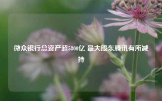 微众银行总资产超5800亿 最大股东腾讯有所减持