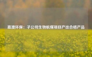 嘉澳环保：子公司生物航煤项目产出合格产品