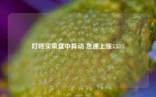 叮咚买菜盘中异动 急速上涨5.53%