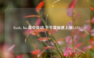 Fastly, Inc.盘中异动 下午盘快速上涨5.12%