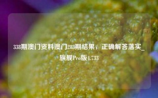 338期澳门资料澳门283期结果，正确解答落实_旗舰Pro版4.733