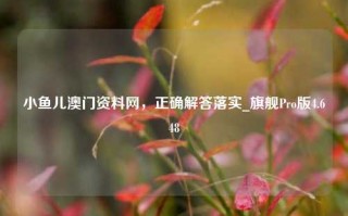 小鱼儿澳门资料网，正确解答落实_旗舰Pro版4.648