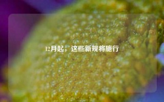 12月起，这些新规将施行