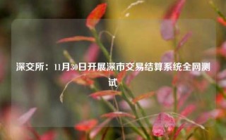 深交所：11月30日开展深市交易结算系统全网测试