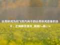 社燕秋鸿为何飞的方向不同社燕秋鸿意象的含义，正确解答落实_旗舰Pro版4.736