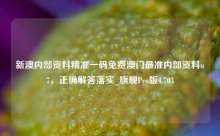 新澳内部资料精准一码免费澳门最准内部资料u7，正确解答落实_旗舰Pro版4.703