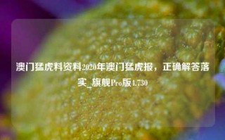 澳门猛虎料资料2020年澳门猛虎报，正确解答落实_旗舰Pro版4.730