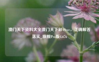 澳门天下资料大全澳门天下彩49ecc，正确解答落实_旗舰Pro版4.676